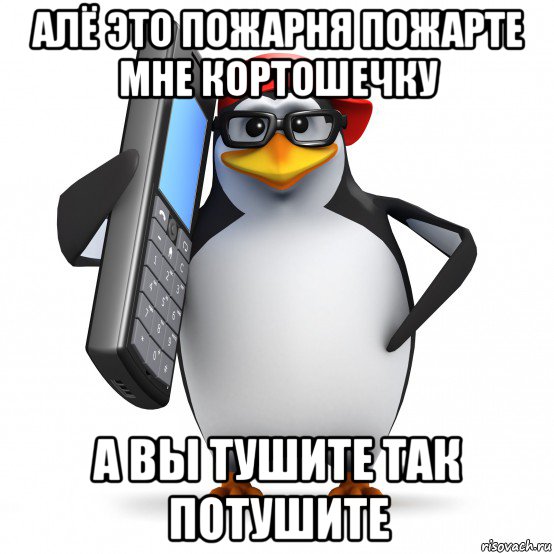 алё это пожарня пожарте мне кортошечку а вы тушите так потушите, Мем   Пингвин звонит