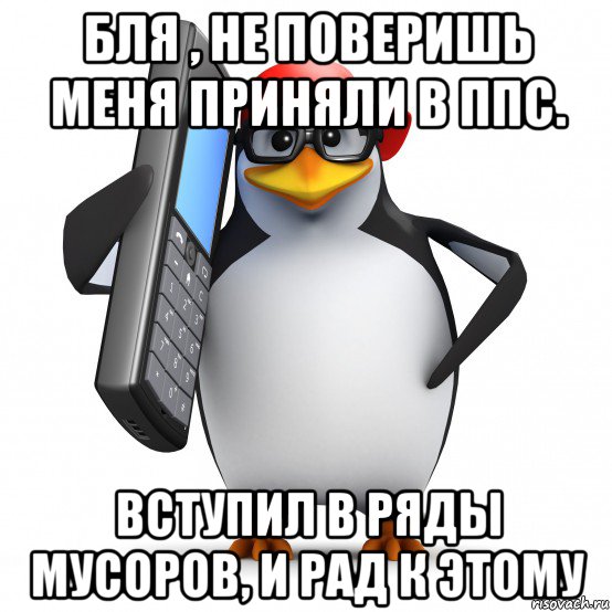 бля , не поверишь меня приняли в ппс. вступил в ряды мусоров, и рад к этому, Мем   Пингвин звонит