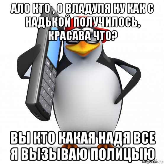 ало кто , о владуля ну как с надькой получилось, красава что? вы кто какая надя все я вызываю полицыю, Мем   Пингвин звонит