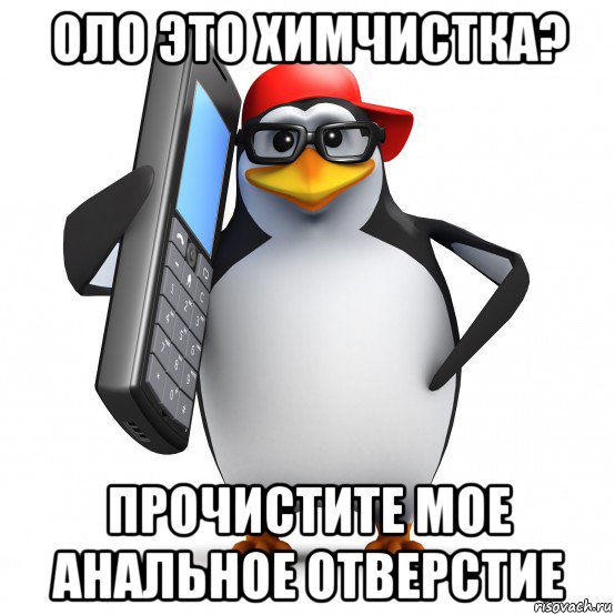 оло это химчистка? прочистите мое анальное отверстие, Мем   Пингвин звонит