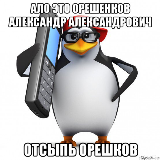 ало это орешенков александр александрович отсыпь орешков, Мем   Пингвин звонит