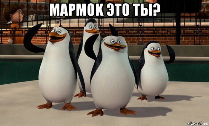 mapmok это ты? , Мем  пингвины Мадагаскара