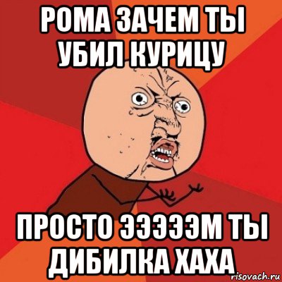 рома зачем ты убил курицу просто эээээм ты дибилка хаха, Мем Почему