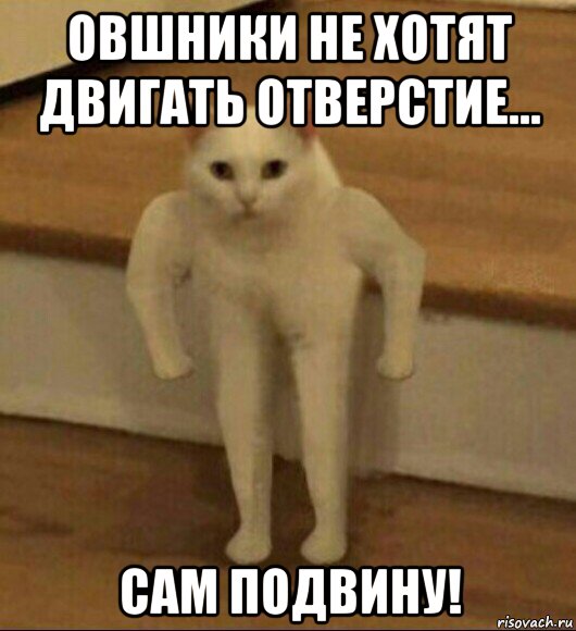 овшники не хотят двигать отверстие... сам подвину!, Мем  Полукот