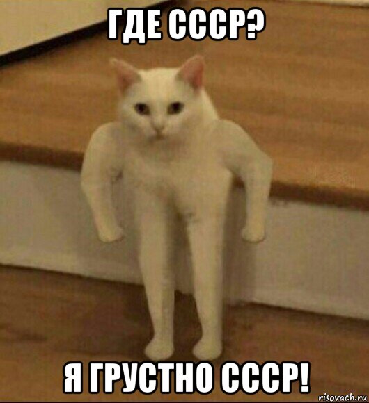 где ссср? я грустно ссср!, Мем  Полукот