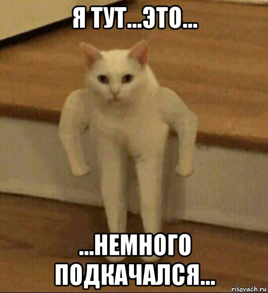 я тут...это... ...немного подкачался..., Мем  Полукот