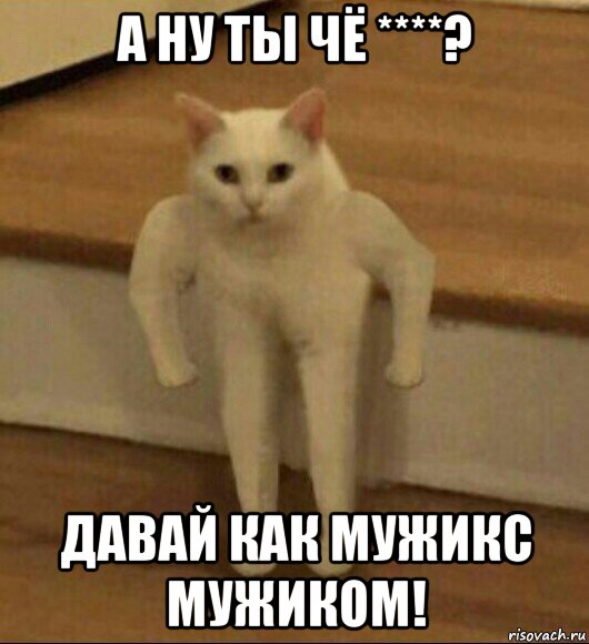 а ну ты чё ****? давай как мужикс мужиком!, Мем  Полукот