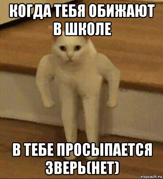 когда тебя обижают в школе в тебе просыпается зверь(нет), Мем  Полукот