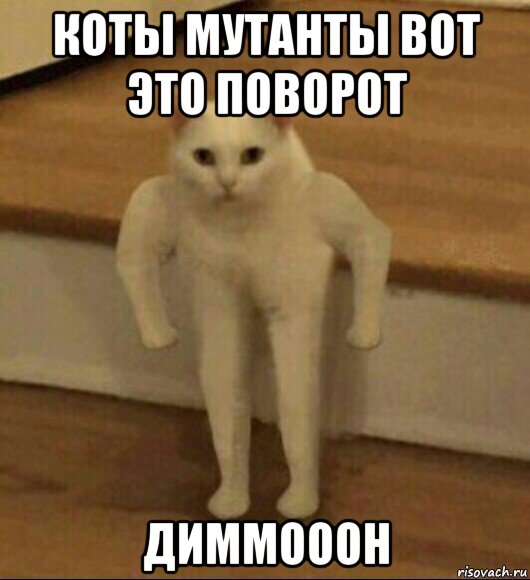 коты мутанты вот это поворот диммооон, Мем  Полукот