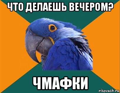 что делаешь вечером? чмафки