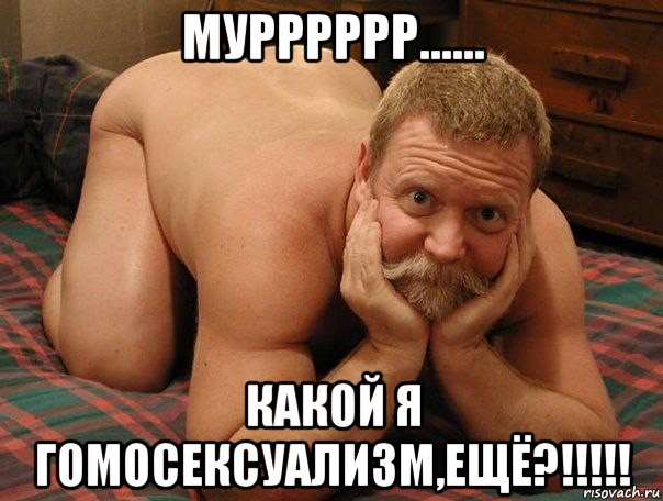 мурррррр...... какой я гомосексуализм,ещё?!!!!!, Мем прив че делаешь