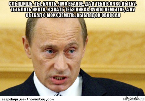 слышишь. ты. блять. чмо ебаное. да я тебя в очко выебу. ты блять никто, и звать тебя никак. хуило немытое, а ну съебал с моих земель, выблядок обоссан , Мем  Путин