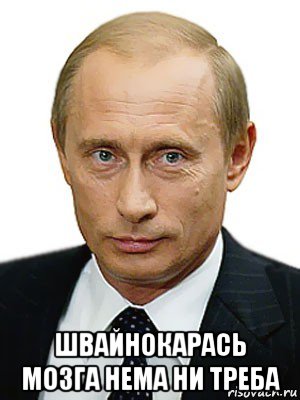  швайнокарась мозга нема ни треба, Мем Путин