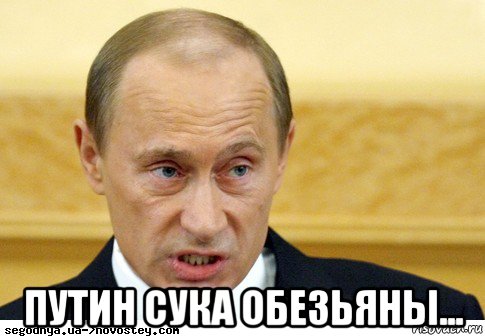  путин сука обезьяны..., Мем  Путин