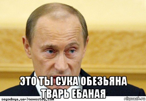  это ты сука обезьяна тварь ебаная, Мем  Путин