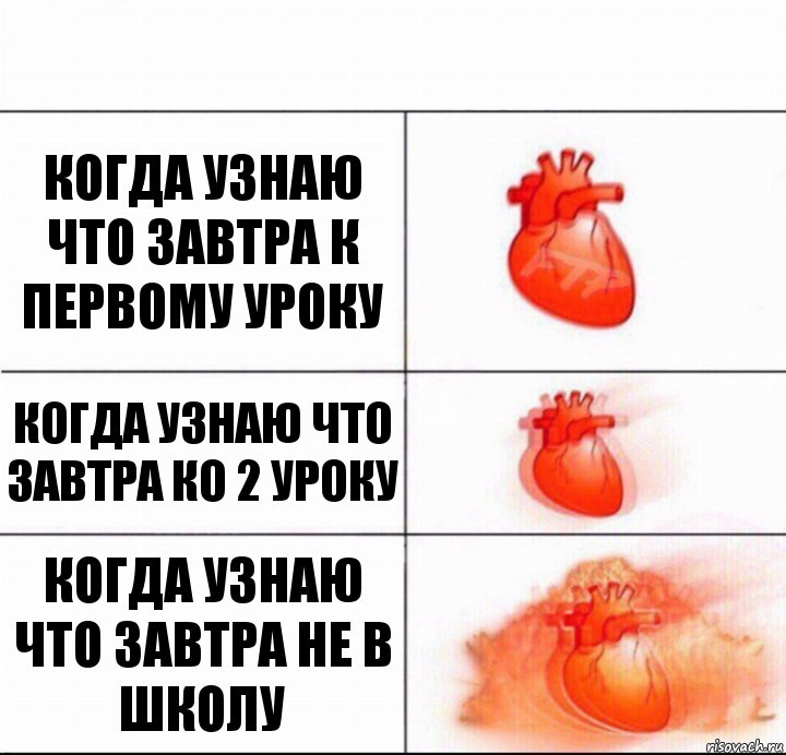 когда узнаю что завтра к первому уроку когда узнаю что завтра ко 2 уроку когда узнаю что завтра не в школу