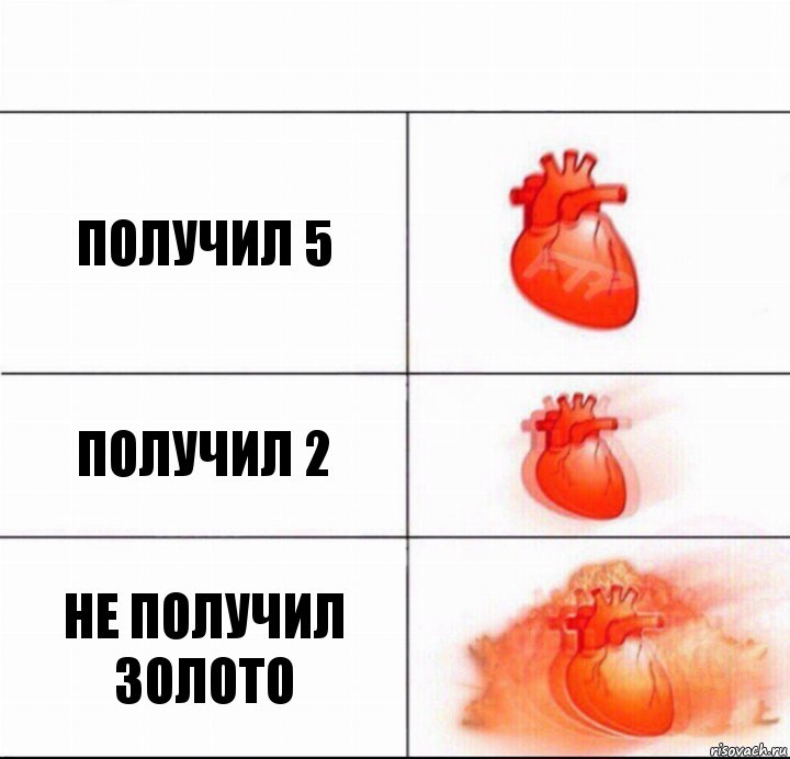 Получил 5 Получил 2 Не получил золото