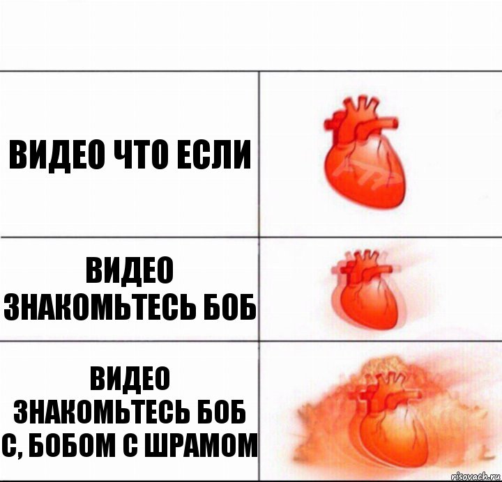 Видео что если Видео знакомьтесь боб Видео знакомьтесь боб с, бобом с шрамом