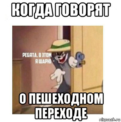 когда говорят о пешеходном переходе, Мем Ребята я в этом шарю