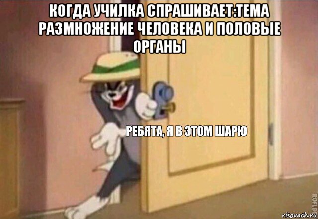 когда училка спрашивает:тема размножение человека и половые органы , Мем    Ребята я в этом шарю