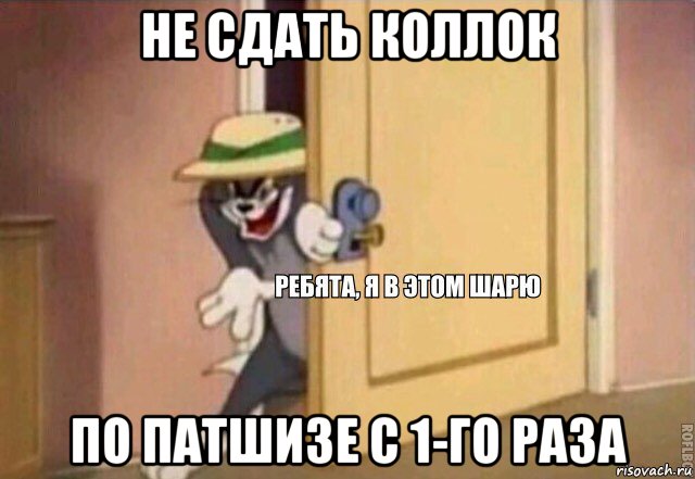 не сдать коллок по патшизе с 1-го раза, Мем    Ребята я в этом шарю