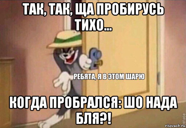 так, так, ща пробирусь тихо... когда пробрался: шо нада бля?!, Мем    Ребята я в этом шарю