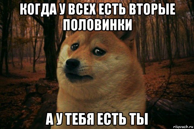 когда у всех есть вторые половинки а у тебя есть ты, Мем SAD DOGE