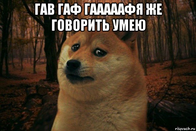 гав гаф гааааафя же говорить умею , Мем SAD DOGE