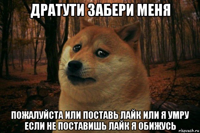 дратути забери меня пожалуйста или поставь лайк или я умру если не поставишь лайк я обижусь, Мем SAD DOGE