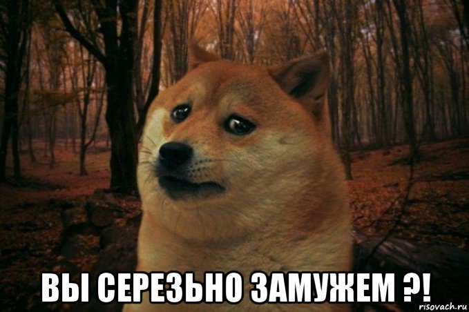  вы серезьно замужем ?!, Мем SAD DOGE