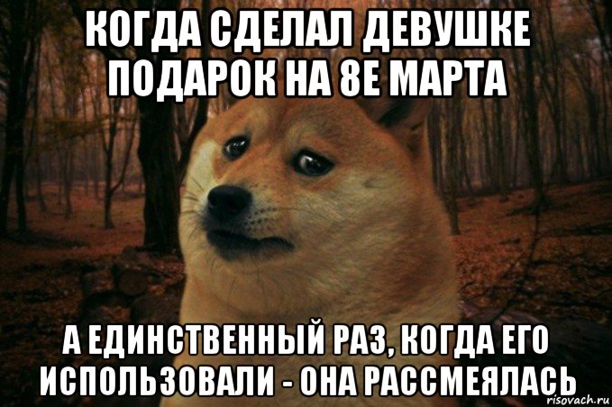 когда сделал девушке подарок на 8е марта а единственный раз, когда его использовали - она рассмеялась, Мем SAD DOGE