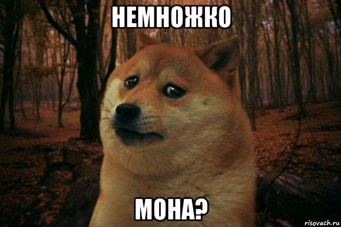 немножко мона?, Мем SAD DOGE