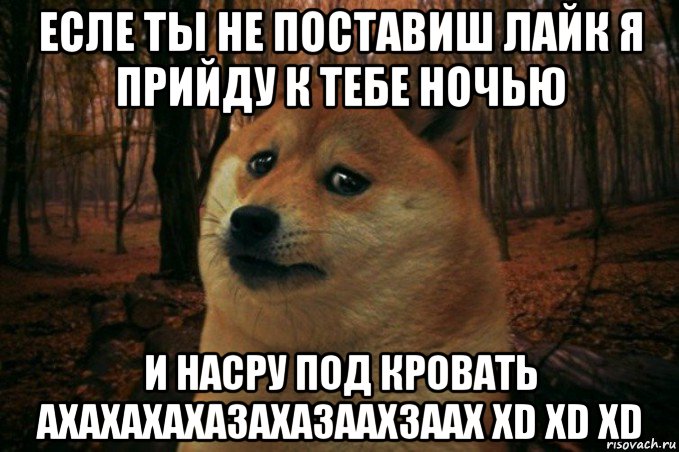 есле ты не поставиш лайк я прийду к тебе ночью и насру под кровать ахахахахазахазаахзаах xd xd xd