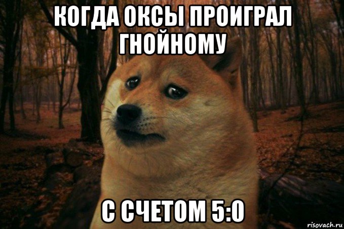 когда оксы проиграл гнойному с счетом 5:0, Мем SAD DOGE