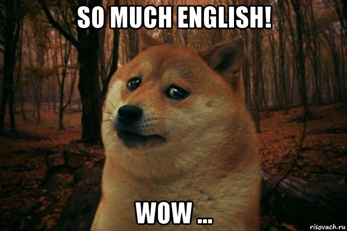 so much english! wow ..., Мем SAD DOGE
