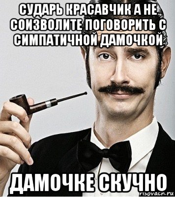 сударь красавчик а не соизволите поговорить с симпатичной дамочкой дамочке скучно, Мем Сэр Надменность