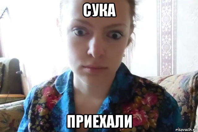 сука приехали, Мем    Скайп файлообменник