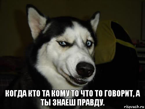 Когда кто та кому то что то говорит, а ты знаеш правду., Комикс  Собака подозревака