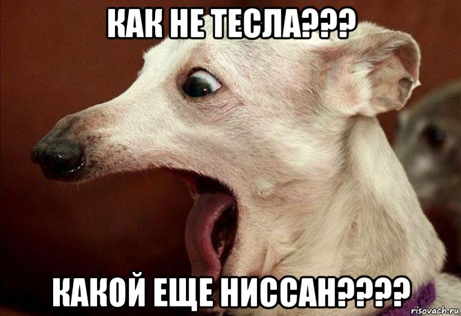 как не тесла??? какой еще ниссан????, Мем  собака