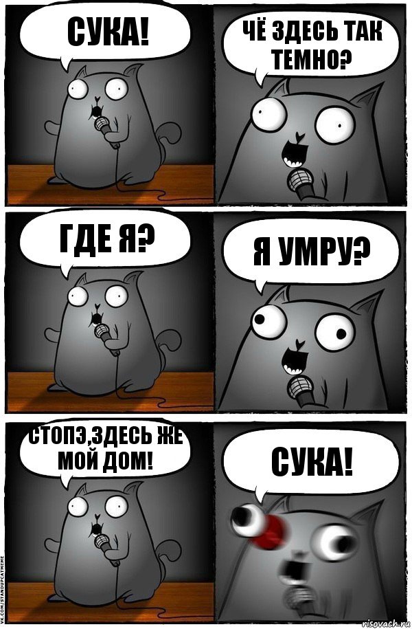 Сука! чё здесь так темно? где я? Я умру? Стопэ,здесь же мой дом! Сука!, Комикс  Стендап-кот