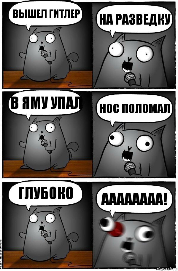 вышел гитлер на разведку в яму упал нос поломал глубоко аааааааа!, Комикс  Стендап-кот