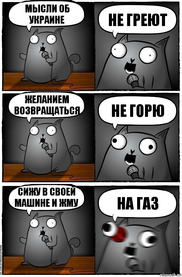 Мысли об Украине НЕ ГРЕЮТ Желанием возвращаться НЕ ГОРЮ Сижу в своей машине и жму НА ГАЗ, Комикс  Стендап-кот