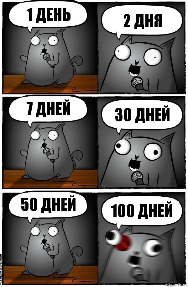 1 день 2 дня 7 дней 30 дней 50 дней 100 дней, Комикс  Стендап-кот