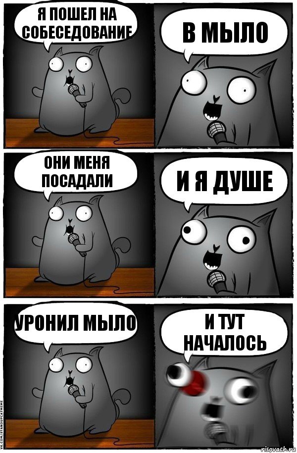 Я пошел на собеседование В мыло Они меня посадали И я душе Уронил мыло И тут началось, Комикс  Стендап-кот