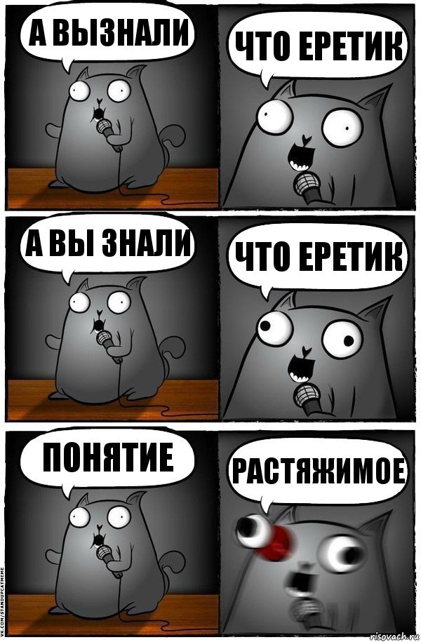 а вызнали что еретик а вы знали что еретик понятие растяжимое, Комикс  Стендап-кот