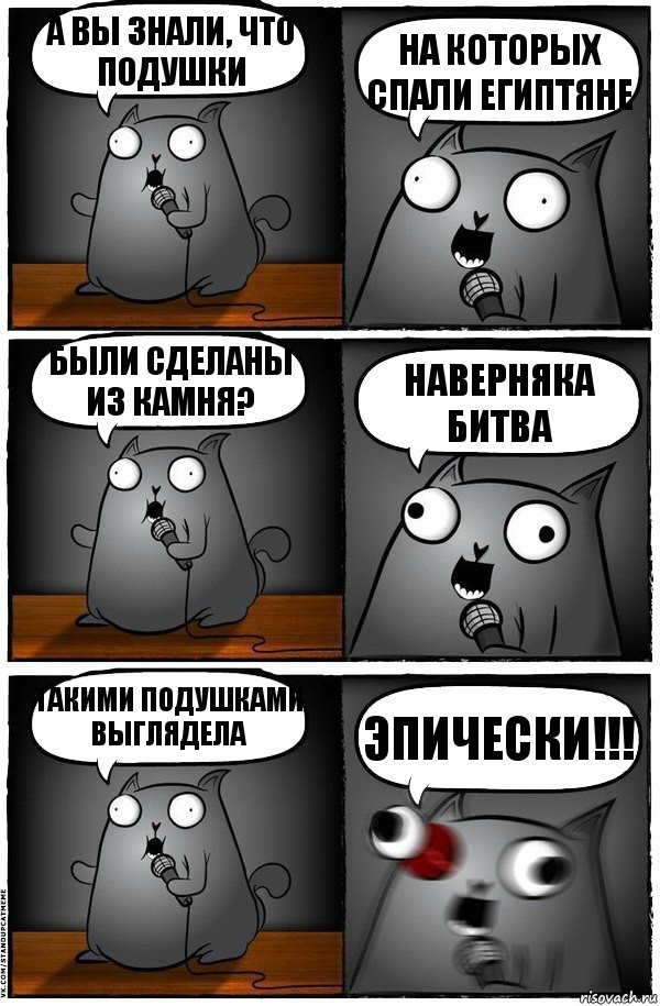 а вы знали, что подушки на которых спали египтяне были сделаны из камня? Наверняка битва такими подушками выглядела ЭПИЧЕСКИ!!!, Комикс  Стендап-кот