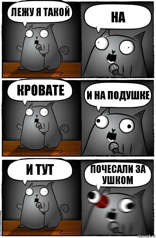 лежу я такой на кровате и на подушке и тут почесали за ушком, Комикс  Стендап-кот