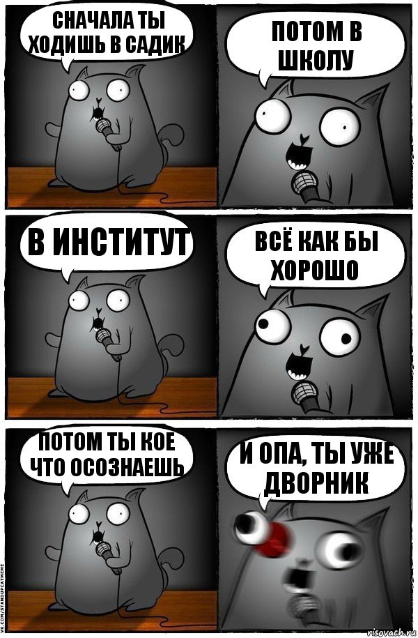 сначала ты ходишь в садик потом в школу в институт всё как бы хорошо потом ты кое что осознаешь и ОПА, ты уже дворник, Комикс  Стендап-кот