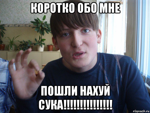 коротко обо мне пошли нахуй сука!!!!!!!!!!!!!!!, Мем stevaner