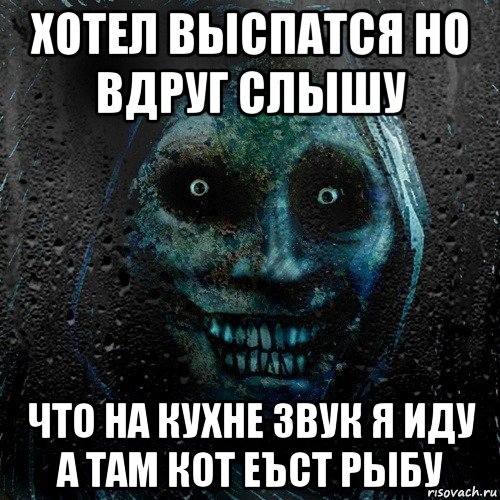 хотел выспатся но вдруг слышу что на кухне звук я иду а там кот еъст рыбу, Мем страшилка на ночь